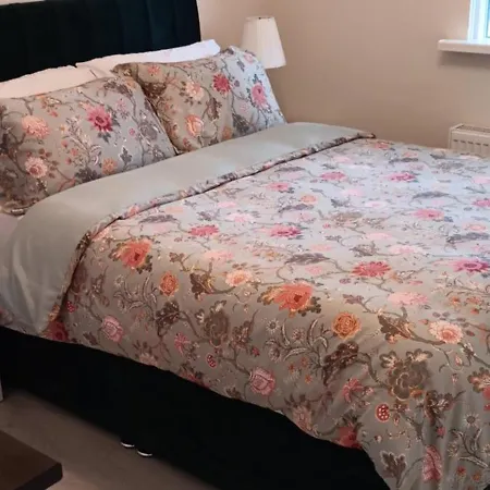 Stylish Comfortable